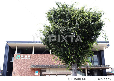 指荻站南口 116926369