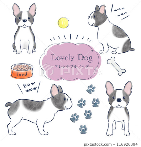 French bulldog colored pencil hand-drawn illustration set 116926394
