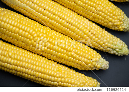 sweet corn heads sweet corn heads 116926514