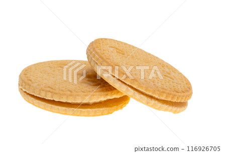 sandwich cookies 116926705