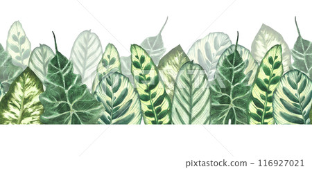 Tropical leaves watercolor seamless border. Jungle plants. Summer green realistic plant leaf, foliage. Hawaiian horizontal repeat flat pattern. Hand drawn illustration. Clipart on isolated background 116927021
