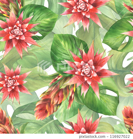 Tropical plant leaf and red flowers seamless pattern. Bromeliad buds, exotic leaves arrangement. Summer floral clipart. Watercolor hand drawn illustration for fabric, wallpaper on isolated background  116927022
