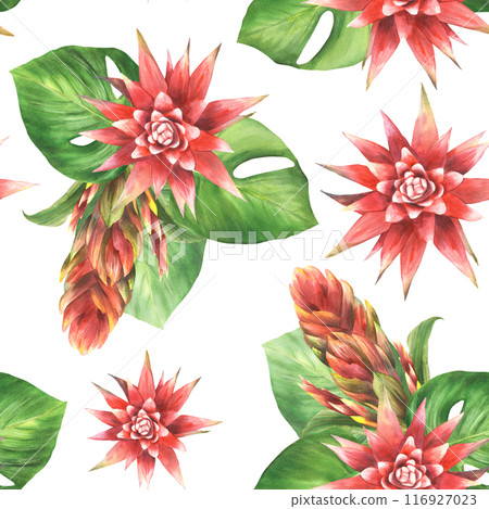 Tropical plant arrangement seamless pattern. Red bromeliad flower, buds, anthurium leaf, exotic leaves. Jungle greenery floral clipart. Watercolor painted illustration. Fabric on isolated background Tropical plant arrangement seamless pattern. Red bromeliad flower, buds, anthurium leaf, exotic leaves. Jungle greenery floral clipart. Watercolor painted illustration. Fabric on isolated background 116927023