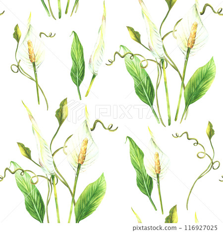 Tropic plant bouquet. Leaves, white bud, flowers. Seamless pattern. Creeper greenery, Anthurium, exotic tropical foliage. Watercolor painted illustration for fabric, wallpaper on isolated background  116927025