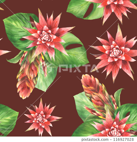 Tropical plant flowers seamless pattern Red bromeliad buds, exotic leaves bouquet. Hawaiian summer floral clipart. Watercolor hand drawn illustration for fabric, wallpaper on isolated dark background Tropical plant flowers seamless pattern Red bromeliad buds, exotic leaves bouquet. Hawaiian summer floral clipart. Watercolor hand drawn illustration for fabric, wallpaper on isolated dark background 116927028