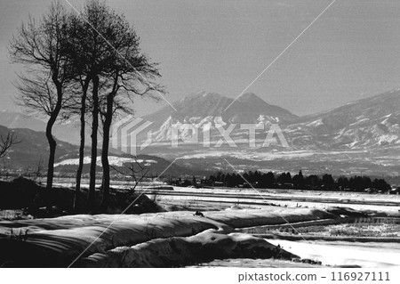 Mt. Myoko seen from a winter village Mt. Myoko seen from a winter village 116927111