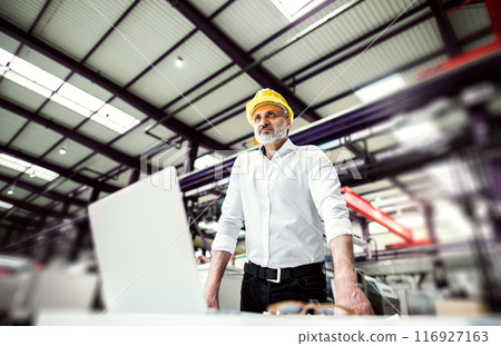 Portrait of project manager standing in modern industrial factory. Manufacturing facility with robotics, robotic arms and automation. Storing products and materials in warehouse. Portrait of project manager standing in modern industrial factory. Manufacturing facility with robotics, robotic arms and automation. Storing products and materials in warehouse. 116927163