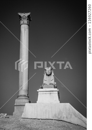 Ancient sphinx statue and Pompeys Pillar located in Alexandria, Egypt 116927260