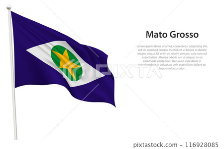 Isolated waving flag of Mato Grosso is a state Brazil 116928085