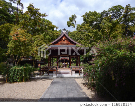 梨木神社主殿與三葉草花 116928134