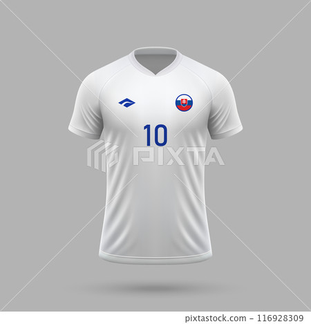 3d realistic soccer away jersey Slovakia national team 2024 3d realistic soccer away jersey Slovakia national team 2024 116928309