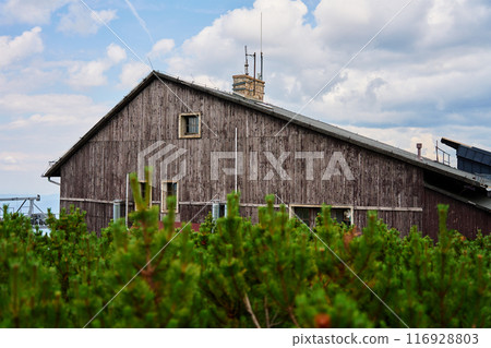 Rustic wooden house surrounded by lush green plants against cloudy sky in countryside. Weathered hut in nature landscape Rustic wooden house surrounded by lush green plants against cloudy sky in countryside. Weathered hut in nature landscape 116928803