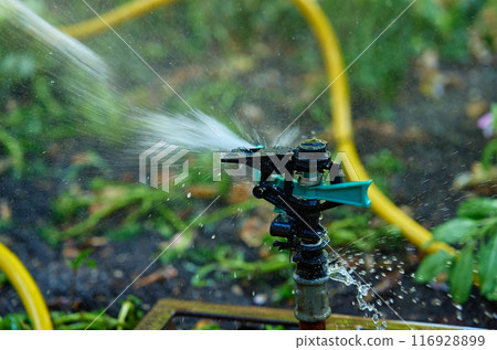 Garden sprinkler watering lush green plants in backyard with trees and grass. Irrigation system works in city on hot summer day for plant care Garden sprinkler watering lush green plants in backyard with trees and grass. Irrigation system works in city on hot summer day for plant care 116928899