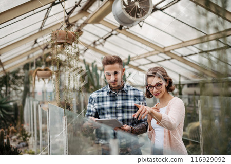 Small greenhouse business. Businesswoman and manager talking, standing in greenhouse, looking at camera, smiling. 116929092
