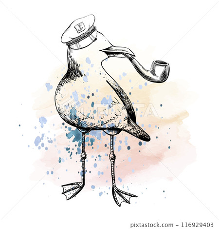 A sea gull in a captain s cap with a tobacco pipe in its beak. EPS hand drawn black and white vector graphic illustration. Isolated composition With watercolor spots pink and blue A sea gull in a captain s cap with a tobacco pipe in its beak. EPS hand drawn black and white vector graphic illustration. Isolated composition With watercolor spots pink and blue 116929403