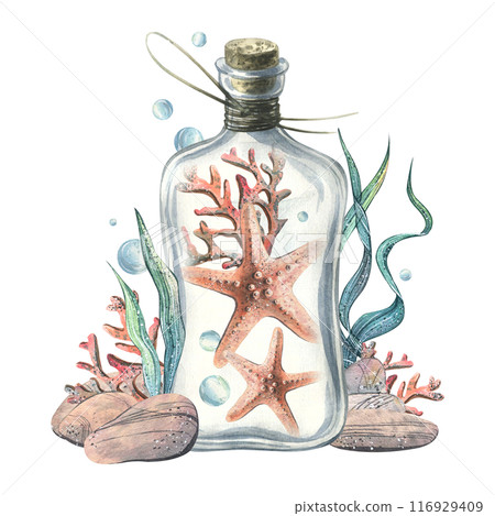 Starfish, algae, corals, pebbles and bubbles inside a glass bottle with a stopper. Hand drawn watercolor illustration of the underwater world. Composition isolated from the background. Starfish, algae, corals, pebbles and bubbles inside a glass bottle with a stopper. Hand drawn watercolor illustration of the underwater world. Composition isolated from the background. 116929409