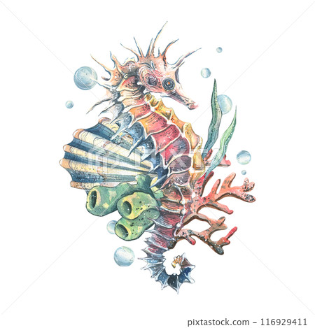 Seahorse, coral, sea sponge, algae and bubbles. Hand drawn watercolor illustration on the theme of sea animals and the underwater world. Composition isolated from the background. Seahorse, coral, sea sponge, algae and bubbles. Hand drawn watercolor illustration on the theme of sea animals and the underwater world. Composition isolated from the background. 116929411