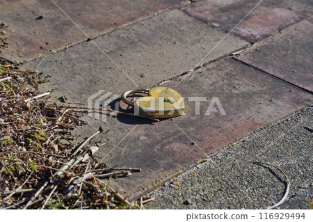 A heart-shaped padlock with which lovers pledged their love 116929494