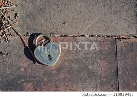 A heart-shaped padlock with which lovers pledged their love 116929495