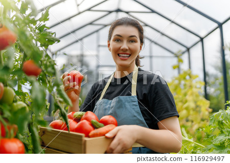 woman is gardening woman is gardening 116929497