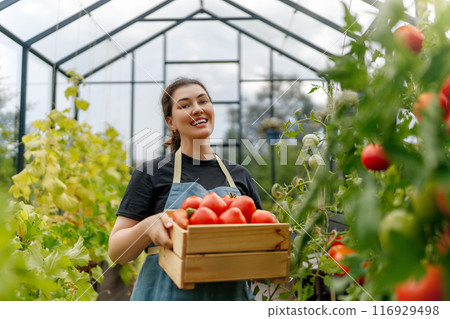 woman is gardening woman is gardening 116929498