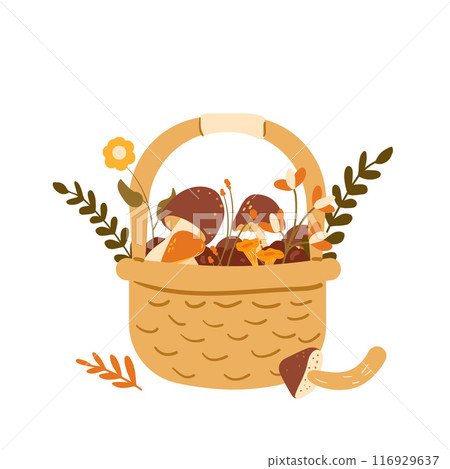 Basket of mushrooms isolated on white background. Vector hand drawn flat illustration Basket of mushrooms isolated on white background. Vector hand drawn flat illustration 116929637