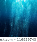 Sunlight seen from underwater while diving 116929743