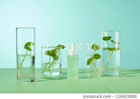 An unlabeled matte serum bottle contains green liquid displayed on green countertop, surrounded with glassware of transparent liquid and pennywort. Front view photo, advertising space 116929888