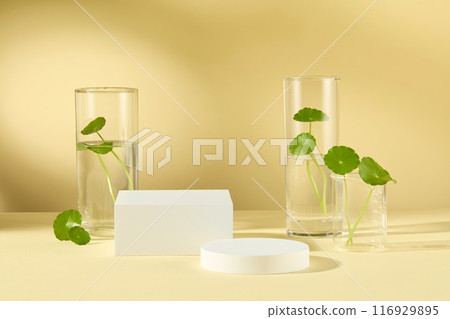 Front angle photography against on light yellow background, blank podium for product presentation. Centella Asiatica is a natural anti-inflammatory used to treat damaged skin and fade scars Front angle photography against on light yellow background, blank podium for product presentation. Centella Asiatica is a natural anti-inflammatory used to treat damaged skin and fade scars 116929895
