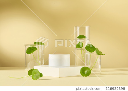 A centella asiatica extract moisturizer jar in white, displayed on a rectangular pedestal with glass beakers of water pennywort placed around. Frontal view photo, copy space for adding text A centella asiatica extract moisturizer jar in white, displayed on a rectangular pedestal with glass beakers of water pennywort placed around. Frontal view photo, copy space for adding text 116929896