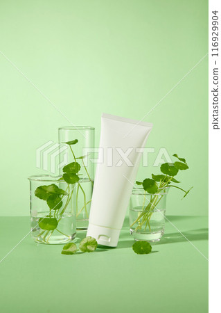 Photo of front view, an unlabeled cosmetic tube with centella leaves around. Asiatic pennywort extract smoothes and strengthens the skin whilst regenerating and balancing it at the same time 116929904