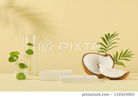 Geometric displaying podiums for coconut and centella based cosmetics advertising, against on light yellow background with many sunshine. Frontal shot photo, blank space for displaying 116929905