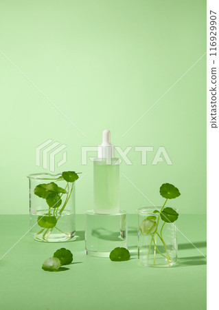 Unlabeled matte serum bottle of light green liquid, featured on green background, surrounded by some glass beaker of water and centella leaves. Empty space for adding text and design elements 116929907