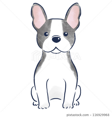 Watercolor hand-drawn illustration of a French bulldog sitting front view 116929968