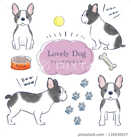 French bulldog watercolor hand drawn illustration set 116930037