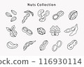 Organic Nuts Soybean Collection. Peanut, Almond 116930114