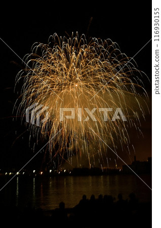 錦館菊和觀賞它的人 116930155