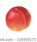 1 nectarine 116930173