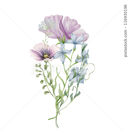 Watercolor poppy bouquet. Wildflowers arrangement purple poppy flowers with blue forget me not. Summer floral composition 116930196