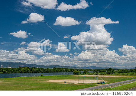 淀川夏日風景 淀川夏日風景 116930204