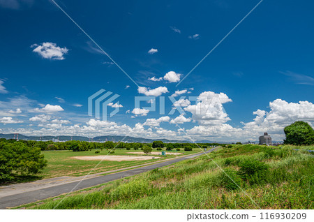 Summer scenery of the Yodo River: View from the top of the embankment Summer scenery of the Yodo River: View from the top of the embankment 116930209