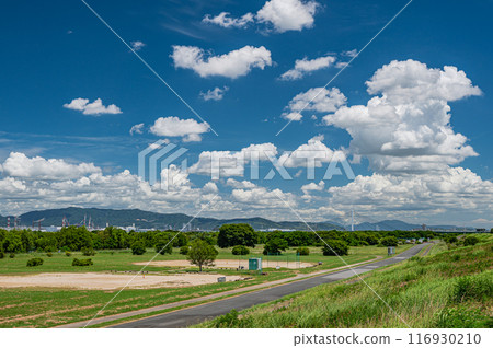Summer scenery of the Yodo River: View from the top of the embankment Summer scenery of the Yodo River: View from the top of the embankment 116930210