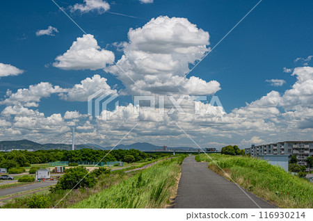 從堤壩頂端看淀川夏日景色 從堤壩頂端看淀川夏日景色 116930214
