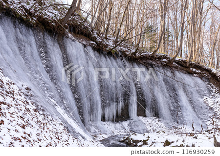 Makaushi Falls ice, Biratori Town, Hokkaido [December] 116930259
