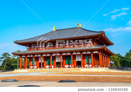[Nara Prefecture] The vibrant vermilion color of the beautiful Chukondo Hall of Kofuku-ji Temple 116930380