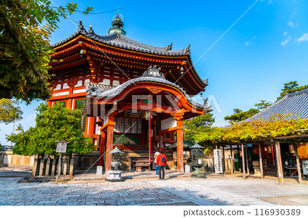 [Nara Prefecture] The Nanendo Hall of Kofukuji Temple under a beautiful blue sky 116930389