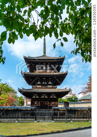 [Nara Prefecture] The three-story pagoda of Kofuku-ji Temple under a beautiful blue sky 116930395
