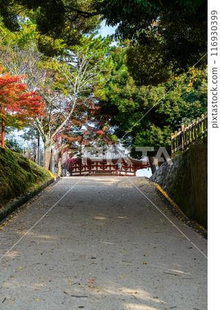 [奈良縣] 境內斜坡上看到的興福寺北園堂 116930399