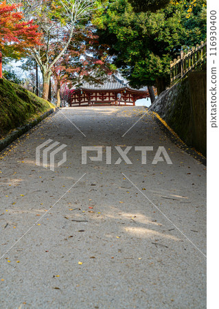 [Nara Prefecture] The northern round hall of Kofuku-ji Temple seen from the slope of the temple grounds 116930400