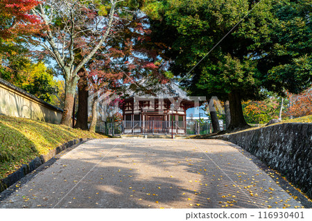 [Nara Prefecture] The northern round hall of Kofuku-ji Temple seen from the slope of the temple grounds 116930401